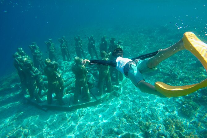 Half-Day Private Guided Snorkeling Turtles Underwater Statues - Fish, coral, and the underwater photo stops