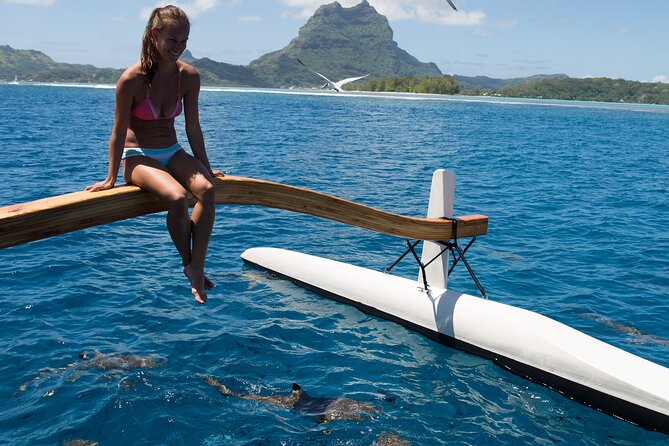 Half Day Private Lagoon Snorkeling Experience - Why this private Bora Bora outing costs so much