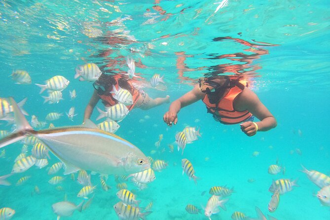 Half-Day Private Party Boat and Snorkeling in Punta Cana - Booking details that can save you trouble