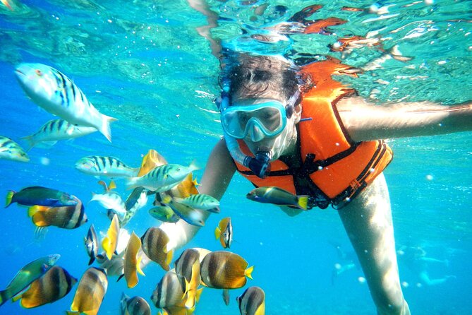 Half-Day Puerto Morelos Snorkeling Experience with Lunch - Why Puerto Morelos makes a good snorkeling base