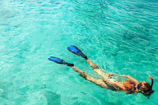 Half-Day Puerto Morelos Snorkeling Experience with Lunch - What you may see below the surface