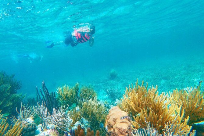 Half-Day Puerto Morelos Snorkeling Experience with Lunch - The timing issue you should take seriously