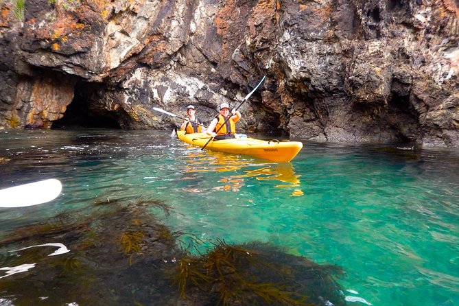 Half Day Sea Kayak Tour from Batemans Bay with Morning Tea - Stop 4: Batemans Marine Park and the return paddle
