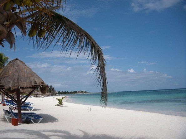 Half-Day Sea Turtle and Cenote Snorkeling Tour from Cancun & Riviera Maya - Key points to know before booking