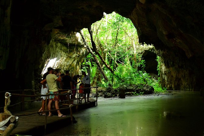Half-Day Sea Turtle and Cenote Snorkeling Tour from Cancun & Riviera Maya - Two kinds of water in one morning