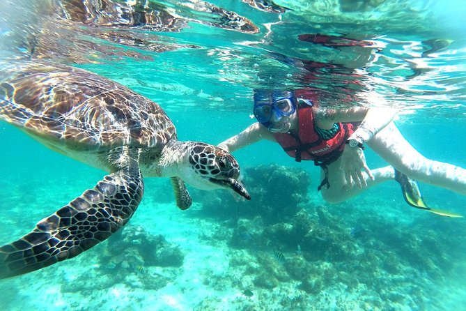 Half-Day Sea Turtle and Cenote Snorkeling Tour from Cancun & Riviera Maya - Snacks, photos, and the real price