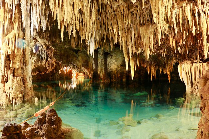 Half-Day Sea Turtle and Cenote Snorkeling Tour from Cancun & Riviera Maya - Group size, comfort, and family suitability