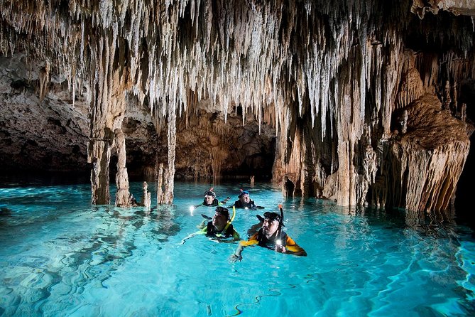 Half-Day Sea Turtle and Cenote Snorkeling Tour from Cancun & Riviera Maya - What to bring for a smoother outing
