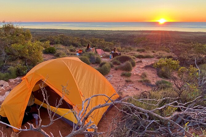 Half Day Snorkel 2.5hr Turtle Tour on the Ningaloo Reef, Exmouth - A small boat and a personal crew