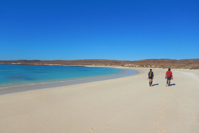 Half Day Snorkel 2.5hr Turtle Tour on the Ningaloo Reef, Exmouth - How much value do you get for $104?