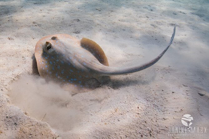 Half Day Snorkel 2.5hr Turtle Tour on the Ningaloo Reef, Exmouth - Who will enjoy this trip most
