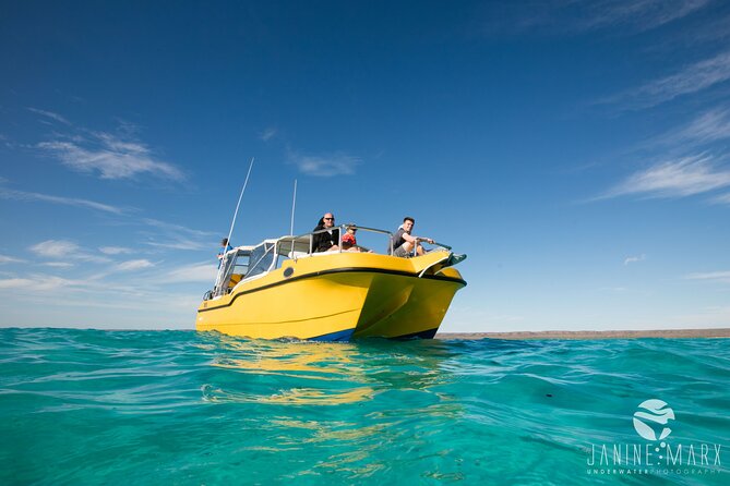 Half Day Snorkel 2.5hr Turtle Tour on the Ningaloo Reef, Exmouth - From Exmouth to the boat