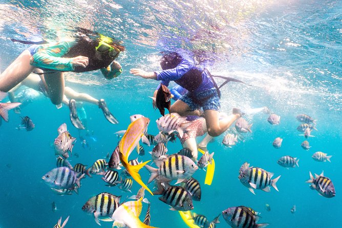 Half-Day Snorkel Sail Tour with Caribbean Lunch - Lunch, drinks, and music keep the boat lively
