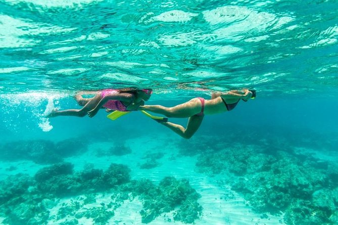 Half-Day Snorkel Sail Tour with Caribbean Lunch - The SS Antilla gives the trip its sense of place