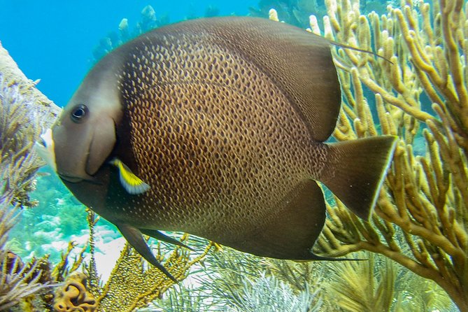 Half Day Snorkel Trip on Reefs in the Florida Keys - The boat ride to the protected reefs