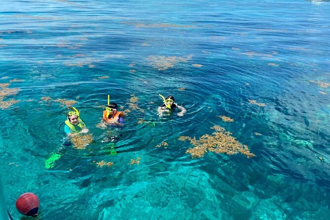 Half Day Snorkel Trip on Reefs in the Florida Keys - Leaving from 103800 Overseas Highway