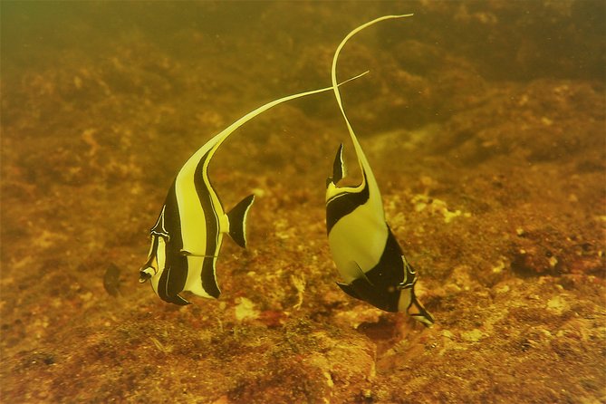 Half-Day Snorkeling Experience in Tamarindo - An early start at the Tamarindo meeting center