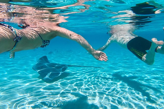 Half Day Tour : Moorea Snorkeling & Sailing on a Catamaran named Taboo - Small-group comfort on the Taboo