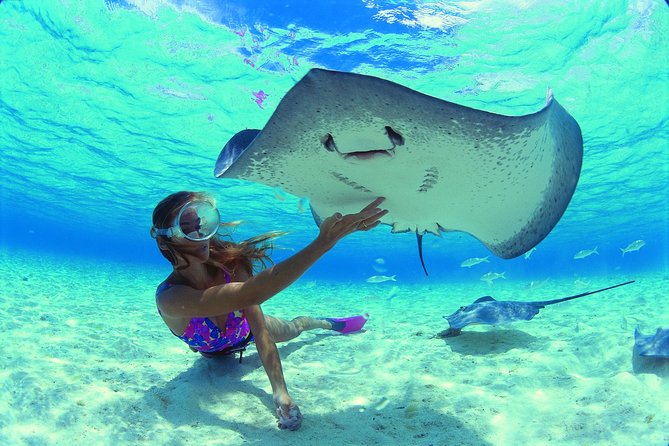 Half Day Tour : Moorea Snorkeling & Sailing on a Catamaran named Taboo - Is $157.46 a fair price?