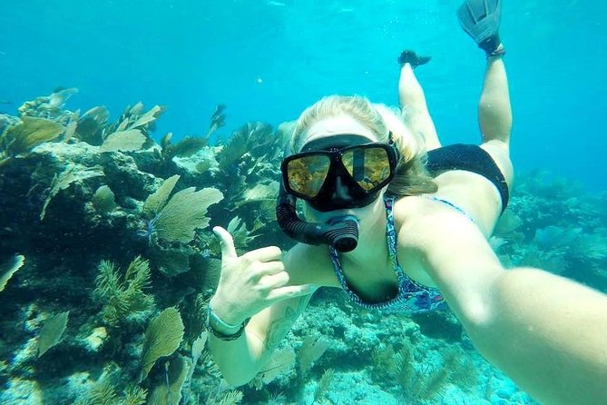 Half-Day Trip from Key West with Kayaking, Snorkeling & Sunset - Should you book it?