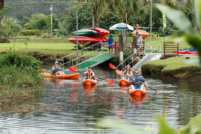 Hanalei Bay Morning Kayak and Snorkel Tour - Who should book this family-friendly outing