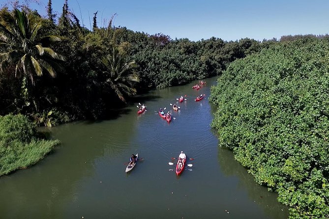 Hanalei Bay Morning Kayak and Snorkel Tour - Timing, weather, and practical planning