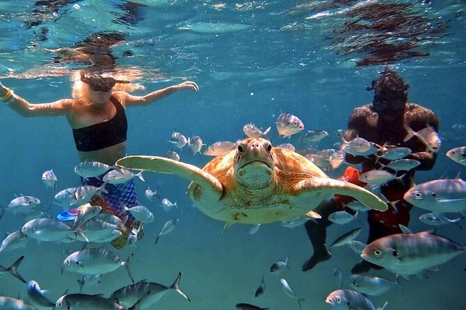Harbour Lights-Chair &Turtle Shipwreck Snorkel Tour(10:30-1:30pm) - A beach club day built around a short boat trip