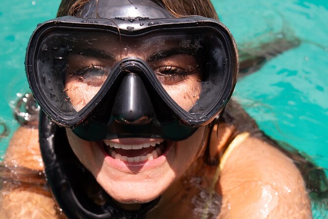 Harbour Lights-Chair &Turtle Shipwreck Snorkel Tour(10:30-1:30pm) - Koopa Troopa and the 45-minute snorkel route