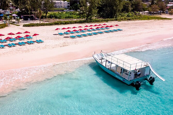 Harbour Lights-Chair &Turtle Shipwreck Snorkel Tour(10:30-1:30pm) - Fish, stingrays, and the better parts of the water time