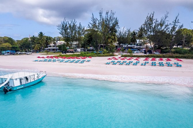 Harbour Lights-Chair &Turtle Shipwreck Snorkel Tour(10:30-1:30pm) - Crowds and timing can change the mood