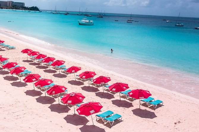 Harbour Lights-Chair &Turtle Shipwreck Snorkel Tour(10:30-1:30pm) - Is $39.50 a fair price?