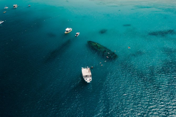 Harbour Lights-Chair &Turtle Shipwreck Snorkel Tour(10:30-1:30pm) - My practical plan for a better day