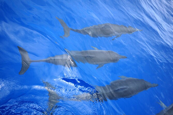 Hawaiian Sail and Snorkel in Kailua-Kona, Hawaii - Setting out from Keauhou Bay at 8:00 a.m.