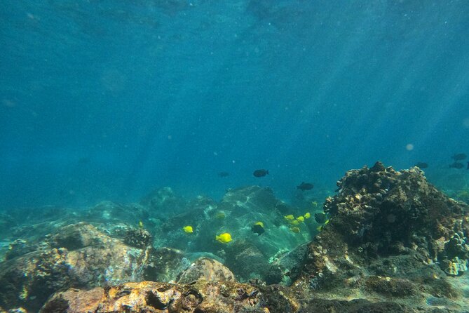 Hawaiian Sail and Snorkel in Kailua-Kona, Hawaii - Sailing south aboard Kini Kini