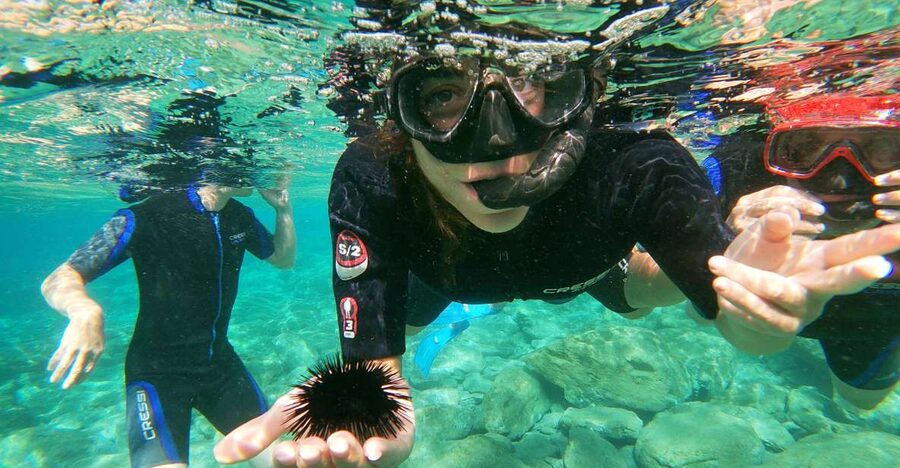 Heraklion: Beginner-Friendly Snorkeling Trip - What the $53 price really gets you