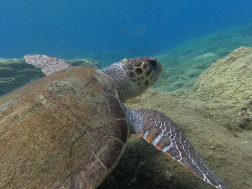 Heraklion: Beginner-Friendly Snorkeling Trip - Why the instructor matters for beginners