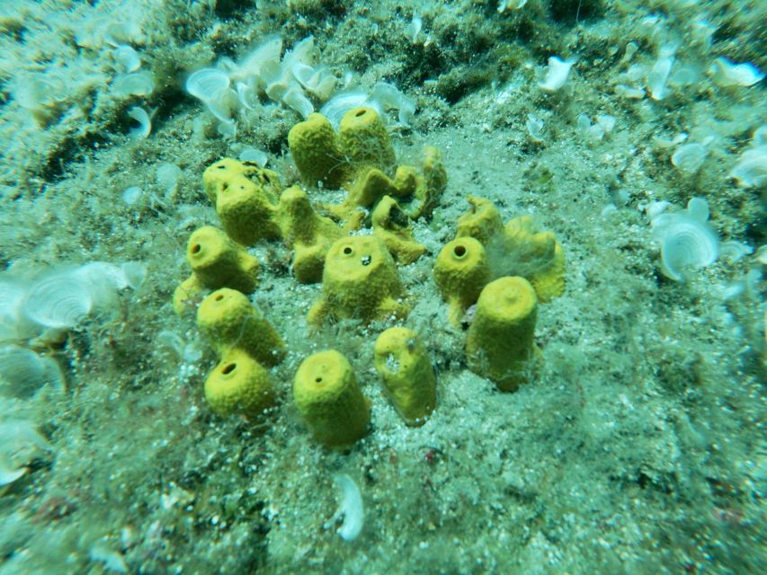 Heraklion: Beginner-Friendly Snorkeling Trip - The break, photos, and return to Agia Pelagia