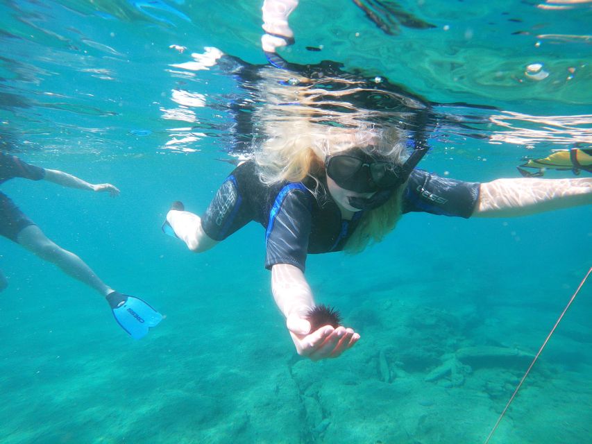 Heraklion: Beginner-Friendly Snorkeling Trip - Who will enjoy this activity most