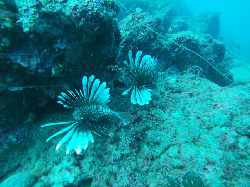 Heraklion: Beginner-Friendly Snorkeling Trip - What to bring for a comfortable morning