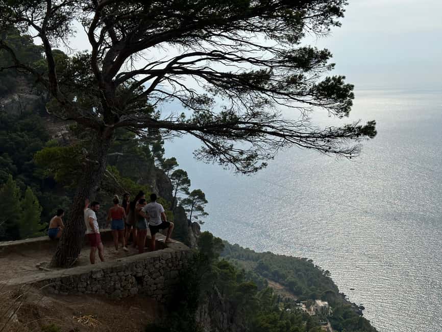 Hidden Coves, Hiking & Snorkeling Adventure in Mallorca - What Alex adds to the experience