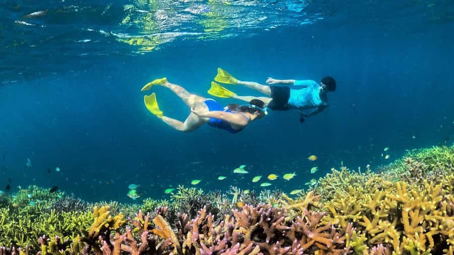 Hidden Gili's Lombok Snorkeling Daily Tour - Why this east Lombok trip feels different