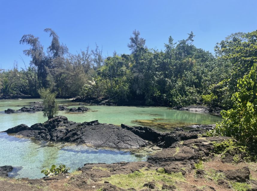 Hilo: Sea Turtle Lagoon and Black Sand Beach Snorkel - Why the guides are central to the experience