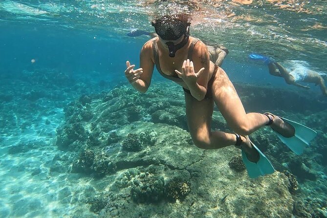 Hilo Sea Turtle Snorkel Adventure - Following the guide among turtles and tropical fish
