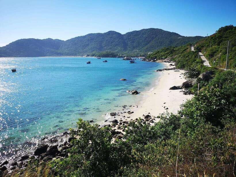 Hoi An: Cham Island and Bai Xep Day Tour with Snorkeling - Should you book the Cham Island day tour?