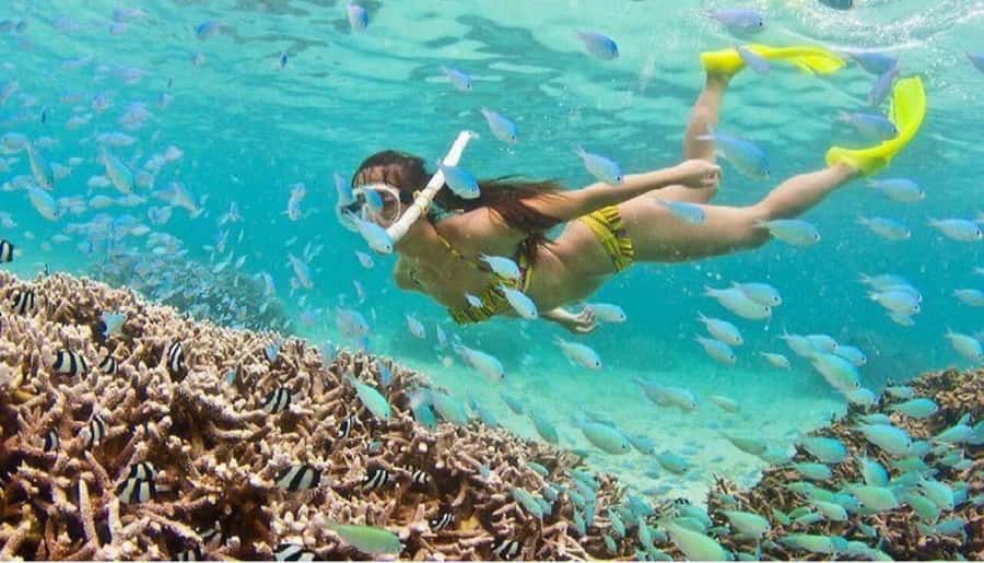 Hoi An: Cham Islands Snorkeling Trip by Speedboat with Lunch - Key points at a glance