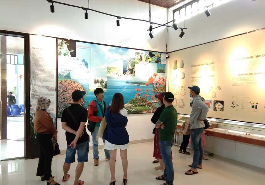 Hoi An: Cham Islands Snorkeling Trip by Speedboat with Lunch - Snorkeling at Bai Xep or Hon Tai