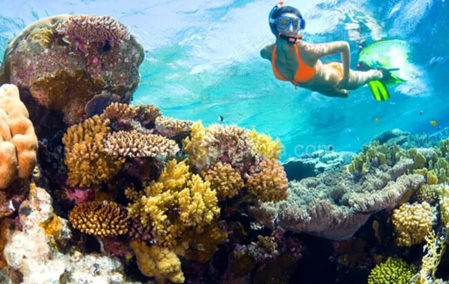 Hoi An: Cham Islands Snorkeling Trip by Speedboat with Lunch - Leaving Cua Dai Pier by speedboat