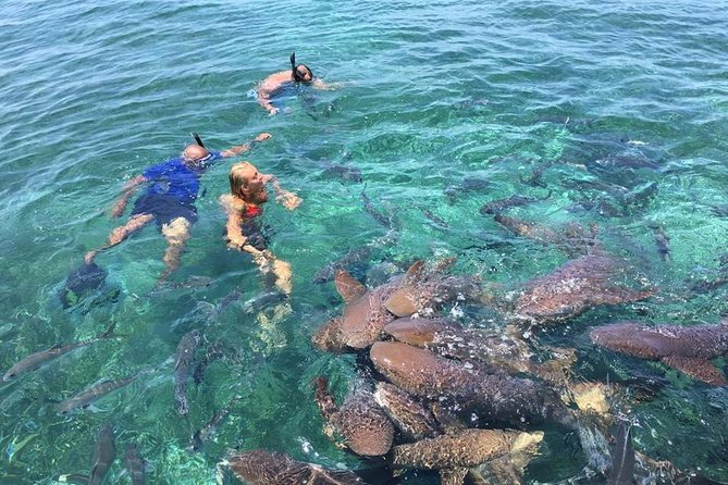 Hol Chan Marine Park and Shark Ray Alley Snorkeling - Hol Chan Marine Reserve: the best part for reef life