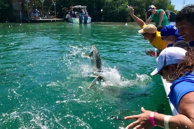 Hol Chan Marine Park and Shark Ray Alley Snorkeling - Who should book this snorkeling trip?