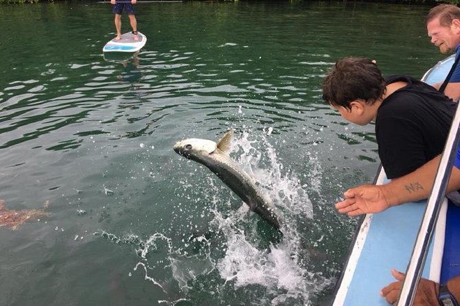 Hol Chan Marine Park and Shark Ray Alley Snorkeling - Caye Caulker gives the day a welcome island break